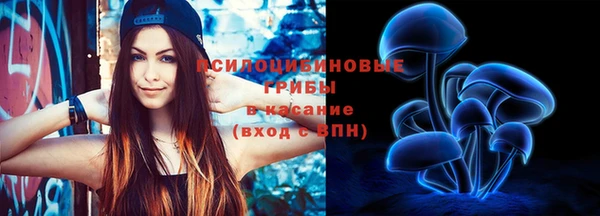 спиды Белокуриха