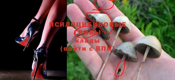 спиды Белокуриха