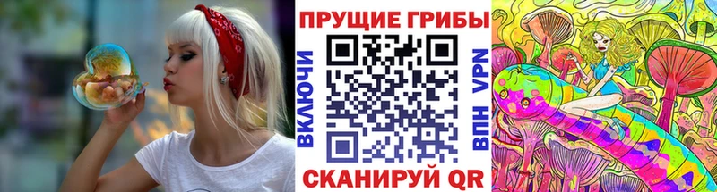 Галлюциногенные грибы ЛСД  OMG ONION  Томари  цены  